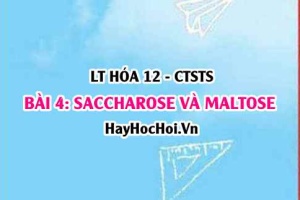Công thức cấu tạo Saccharose, Maltose? tính chất hóa học, ứng dụng của Saccharose? Hóa 12 bài 4 CTST